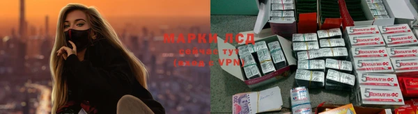mdpv Алзамай