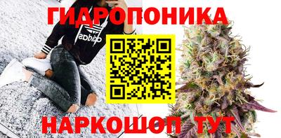 амф Гай