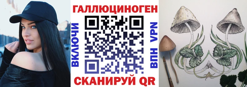 Галлюциногенные грибы Psilocybe Лесосибирск