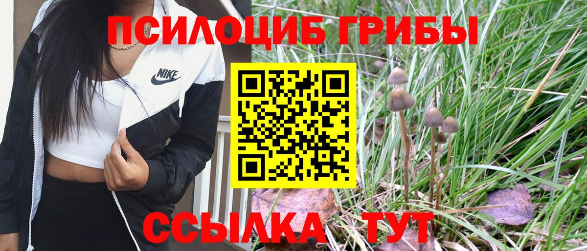 Псилоцибиновые грибы ЛСД  Псилоцибиновые грибы Psilocybe  наркота  Лесосибирск  Вход с VPN 